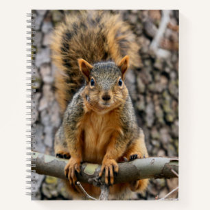Faux fox squirrel notebook