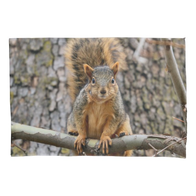 Faux fox squirrel pillowcase (Front)
