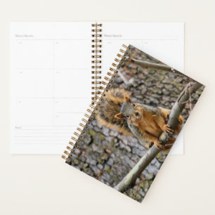 Faux fox squirrel planner