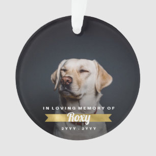 Faux Gold Pet Memorial Custom Photo Name and Years Ornament