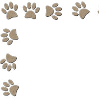 Faux Paper Texture Paw Prints Base For  Invitation