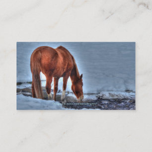 Faux Tooled Leather, Drinking Horse Business Cards