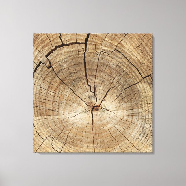 Faux Tree Rings Background Canvas Print (Front)