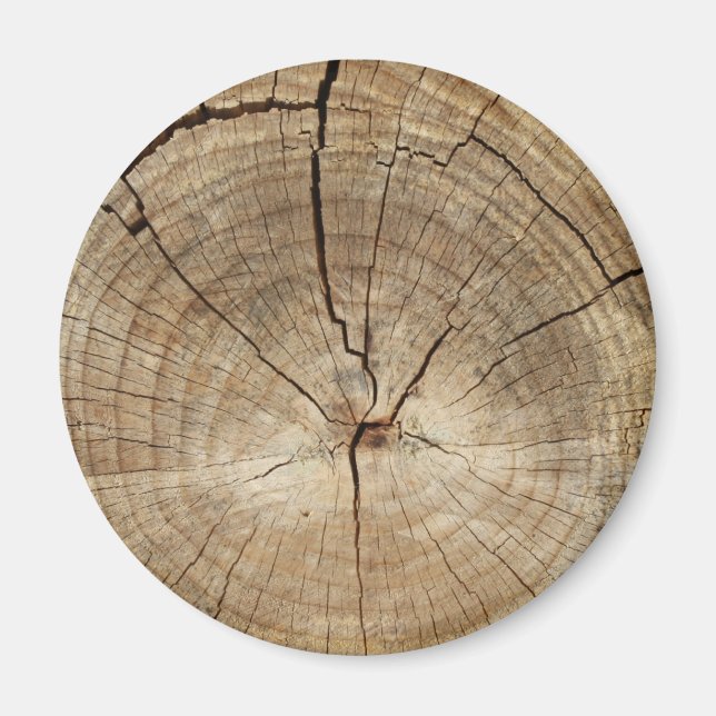 Faux Tree Rings Background Magnet (Front)