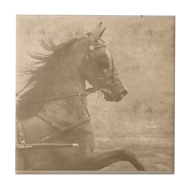 Faux Vintage Hackney Tile (Front)