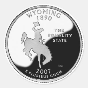 Faux Wyoming State Quarter Classic Round Sticker