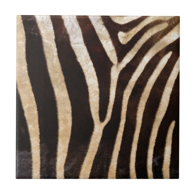 faux zebra print tile (Front)