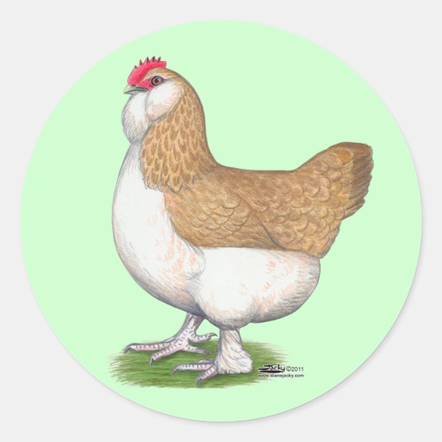 Faverolle Hen Classic Round Sticker (Front)