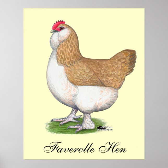 Faverolle Hen Poster (Front)