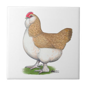 Faverolle Hen Tile