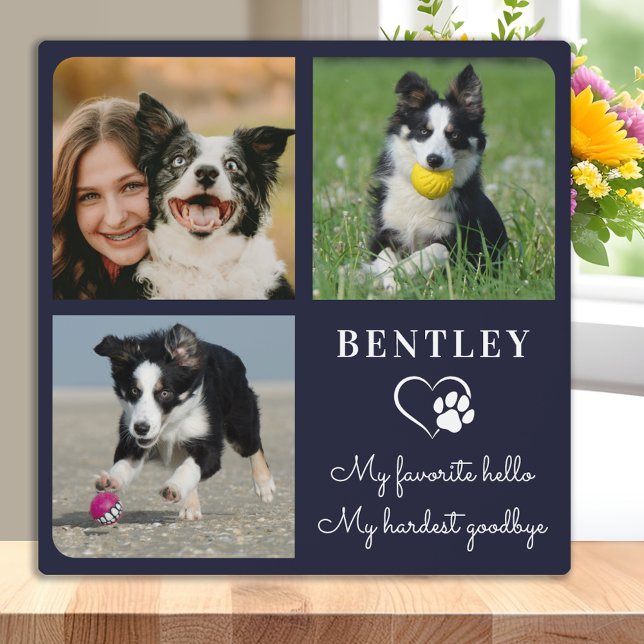 Favorite Hello Custom Pet Dog Memorial 3 Photo Plaque (Creator Uploaded)