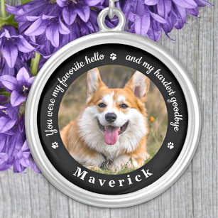 Favorite Hello Hardest Goodbye Photo Pet Memorial Silver Plated Necklace