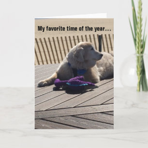 Favorite Time of Year, Dog Days of Summer - Card