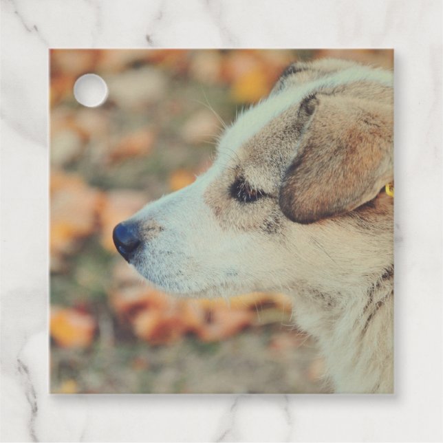 Favour Tags landscape template (Front)