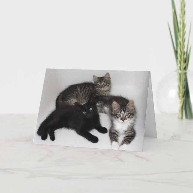 Favourite Child Mother's Day Card (Front)