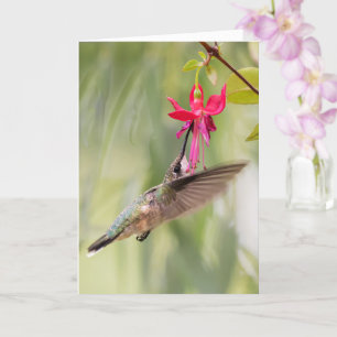 Favourite Fuchsia Hummingbird Card