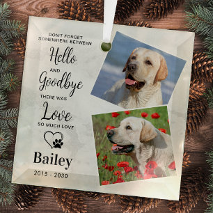 Favourite Hello Custom 2 Photo Dog Pet Memorial Glass Tree Decoration