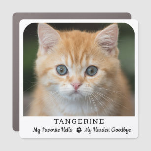 Favourite Hello Hardest Goodbye Cat Memorial Photo Car Magnet