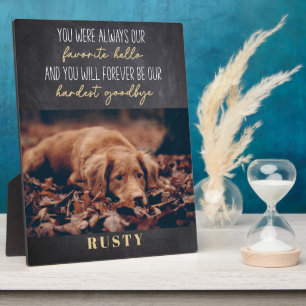 Favourite Hello Hardest Goodbye Pet Memorial 8x10" Plaque