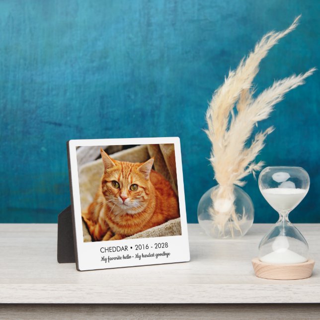 Favourite Hello Hardest Goodbye Pet Memorial Photo Plaque (Insitu)