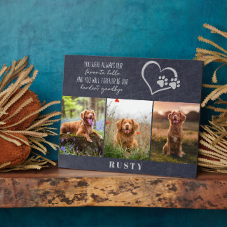 Favourite Hello Hardest Goodbye Pet Memorial  Plaque