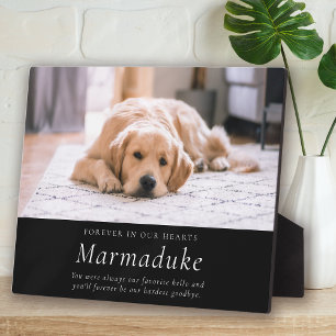 Favourite Hello Hardest Goodbye Pet Memorial Plaque