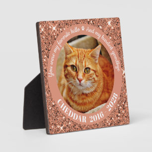 Favourite Hello Hardest Goodbye Rose Gold Pet Phot Plaque