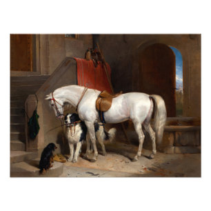 Favourites, Property of Prince George of Cambridge Photo Print