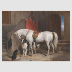 Favourites, Property of Prince George of Cambridge Tissue Paper