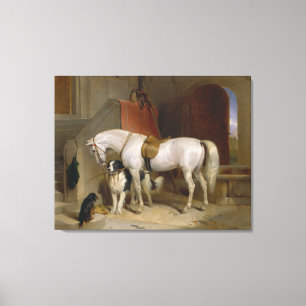Favourites, the Property of H.R.H. Prince George Canvas Print