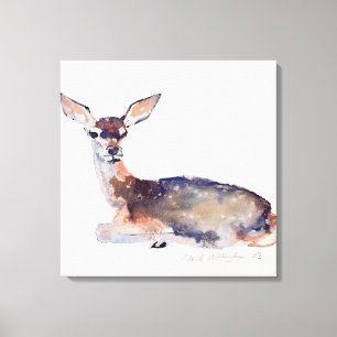 Fawn 2003 canvas print