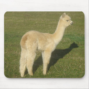Fawn alpaca mouse mat