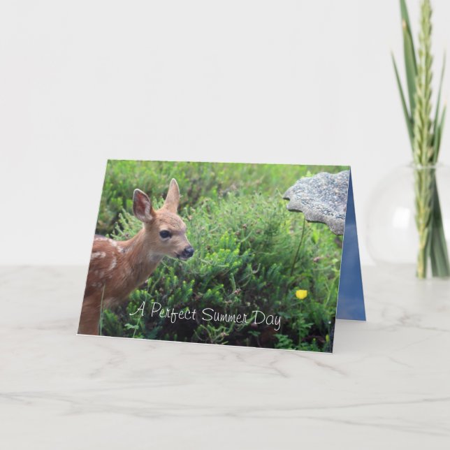 Fawn and Birdbath Thinking of You  Card (Front)