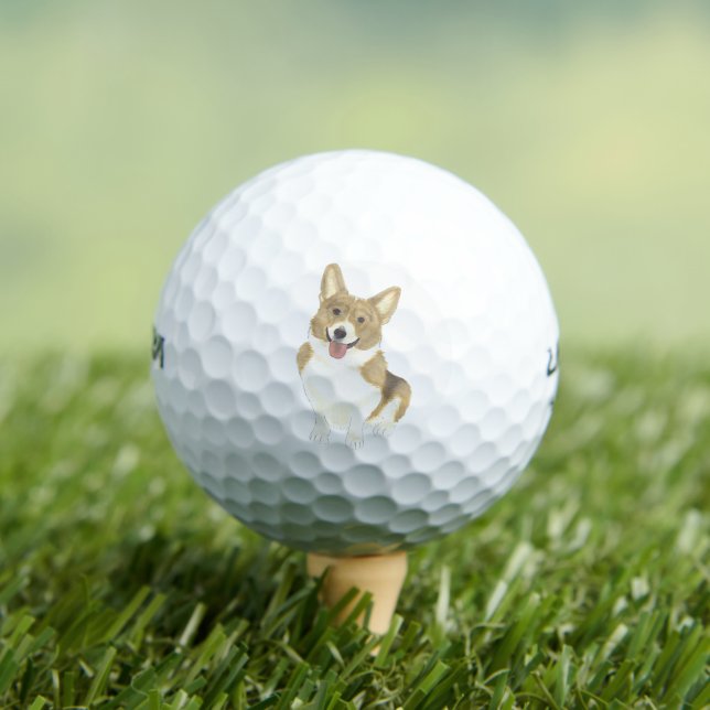 Fawn and White Corgi Golf Balls (Insitu Tee)