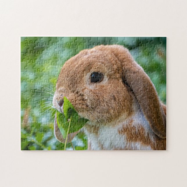 Fawn and White Holland Lop Bunny Rabbit Jigsaw Puzzle (Horizontal)