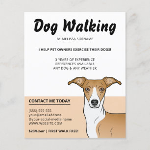 Fawn And White Italian Greyhound - Dog Walker Flyer