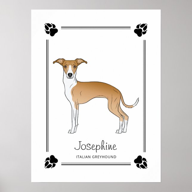Fawn And White Italian Greyhound With Paws & Text Poster (Front)