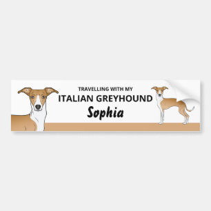 Fawn And White - Travelling With My Iggy Dog Bumper Sticker