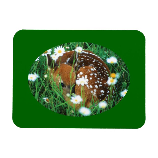 fawn and wildflowers magnet (Horizontal)