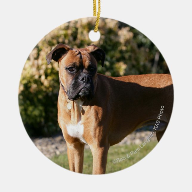 Fawn Boxer Dog Standing Ceramic Tree Decoration (Front)