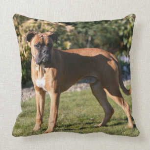 Fawn Boxer Dog Standing Cushion