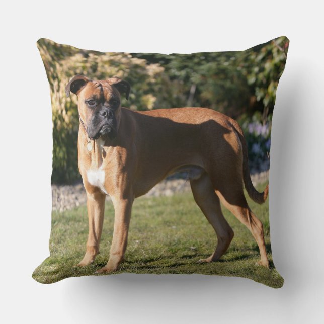 Fawn Boxer Dog Standing Cushion (Front)