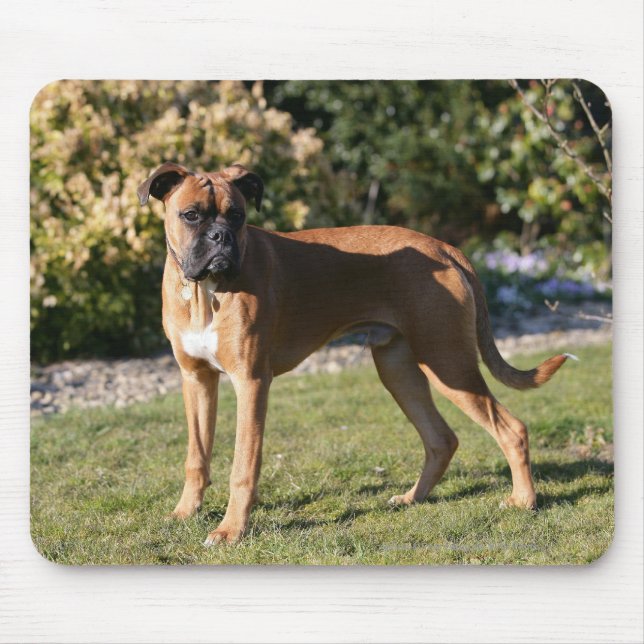 Fawn Boxer Dog Standing Mouse Mat (Front)