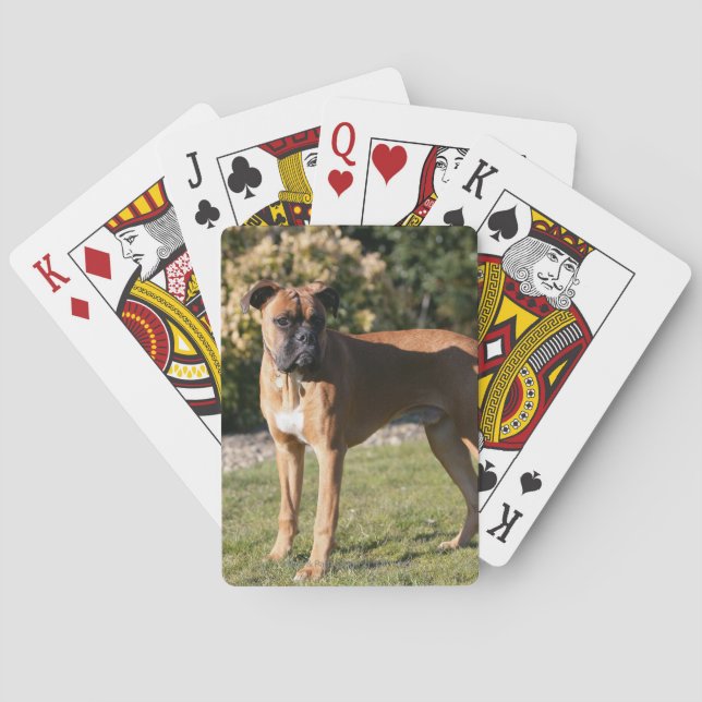 Fawn Boxer Dog Standing Playing Cards (Back)