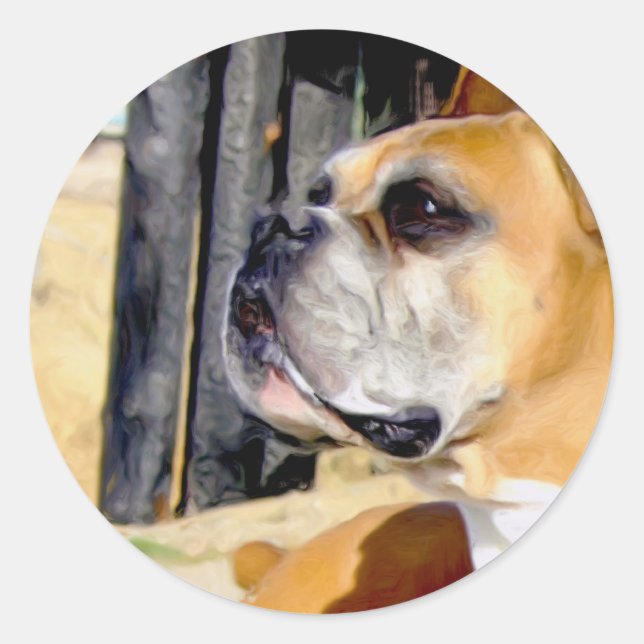 Fawn Boxer Dog stickers (Front)