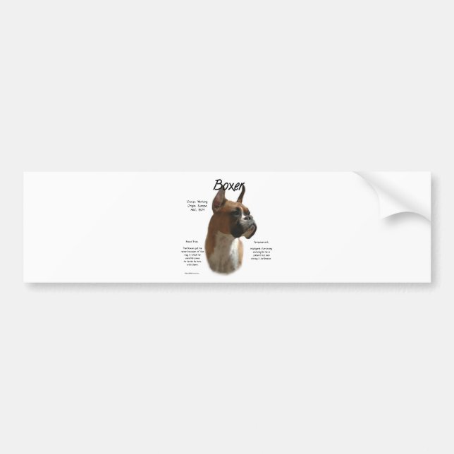 Fawn Boxer History  Bumper Sticker (Front)