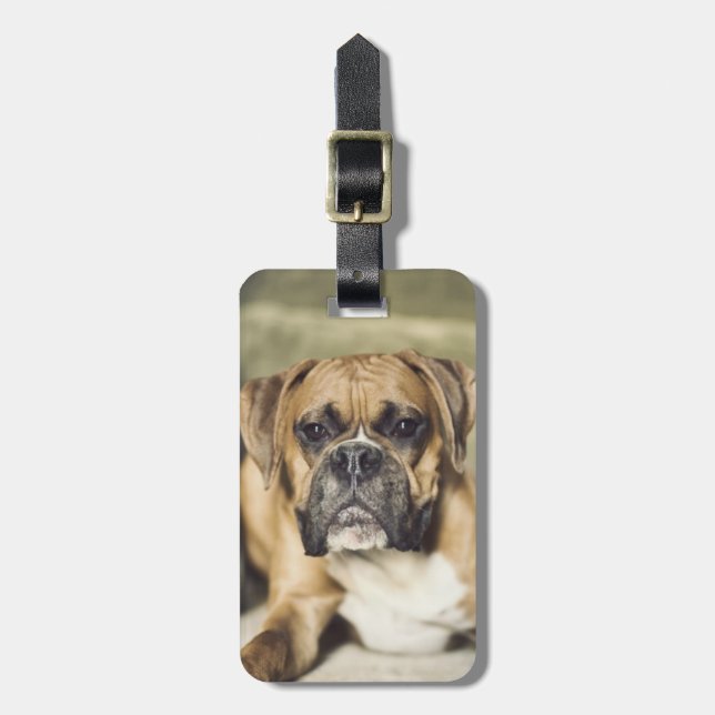 Fawn Boxer Pup Luggage Tag (Front Vertical)