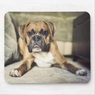 Fawn Boxer Pup Mouse Mat