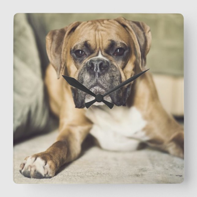 Fawn Boxer Pup Square Wall Clock (Front)