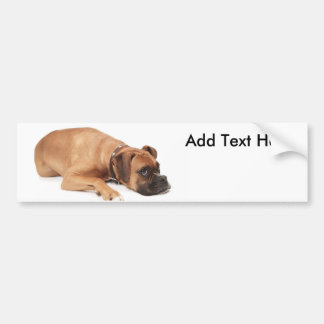 Fawn Boxer Resting Bumper Sticker
